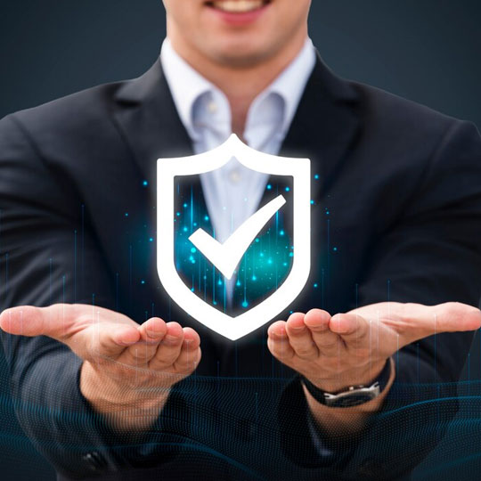 IT Security Auditor