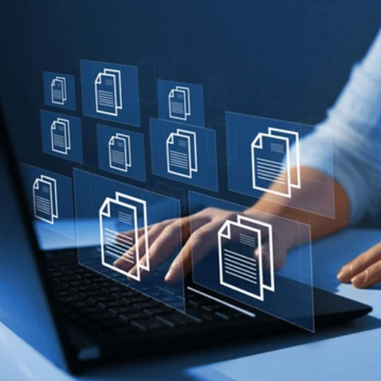 Data Governance and Management
